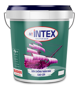 SƠN INTEX